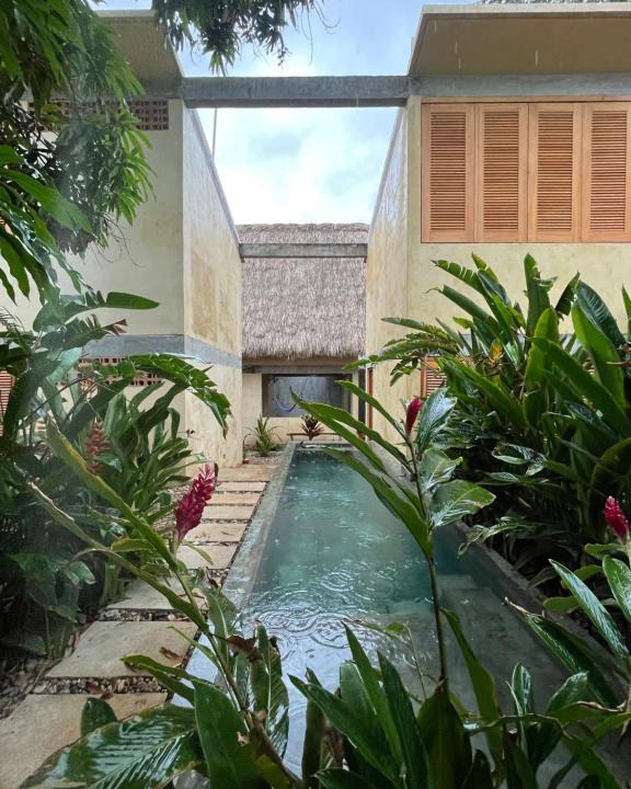 Los Tamarindos House | Agua de Coco