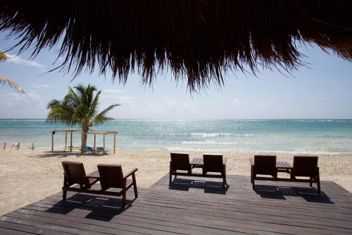 Akumal Resort | Akumal Bay Beach & Spa Resort