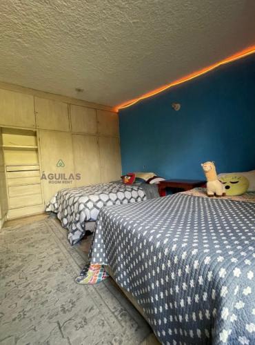 Alvaro Obregon House | Alojamiento con baño compartido