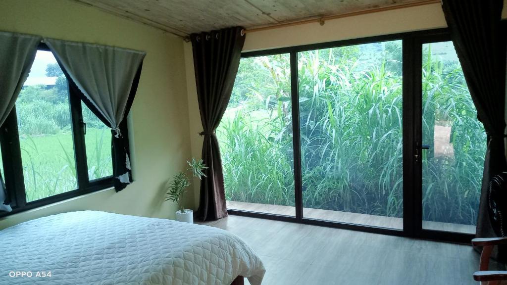 Yen Minh House | Amica Du Gia Trekking and Homestay