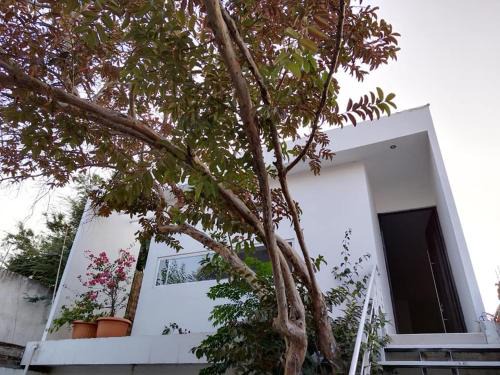 Ciudad Fernandez House | Amplio departamento CASA MANGO