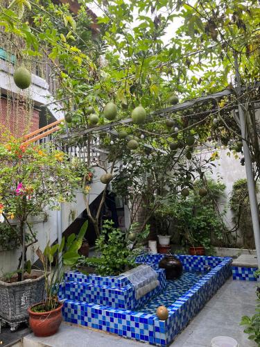 Son Tay House | Asahi Luxstay - Homestay Đường Lâm Hostel