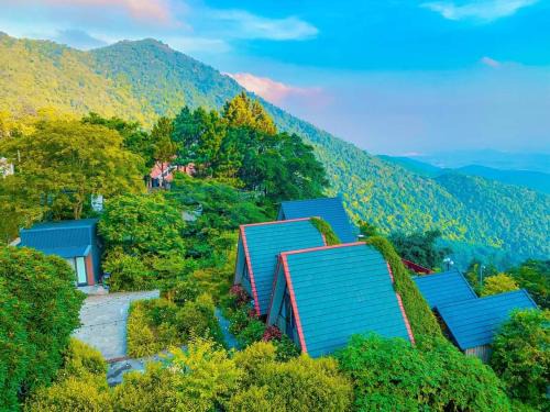 Tam Dao House | Ban Mai Xanh homestay Tam Đảo