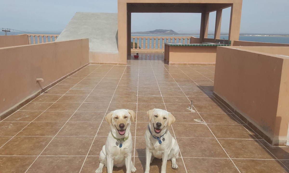 Cholla Bay House | Beautiful Ocean Views and Spacious Patios. Enclosed Vehicle Parking .