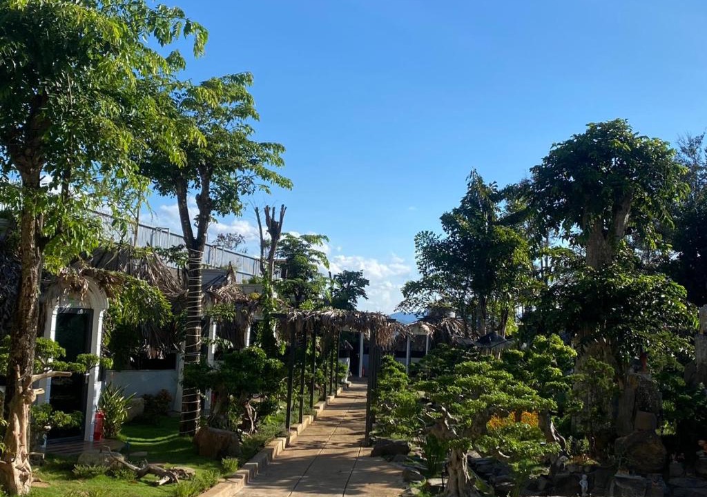 Bao Loc Hotel | BING BONG HOTEL