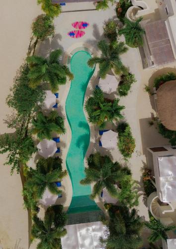 Mario Villanueva Madrid Hotel | Blue Palm Bacalar - Adults only