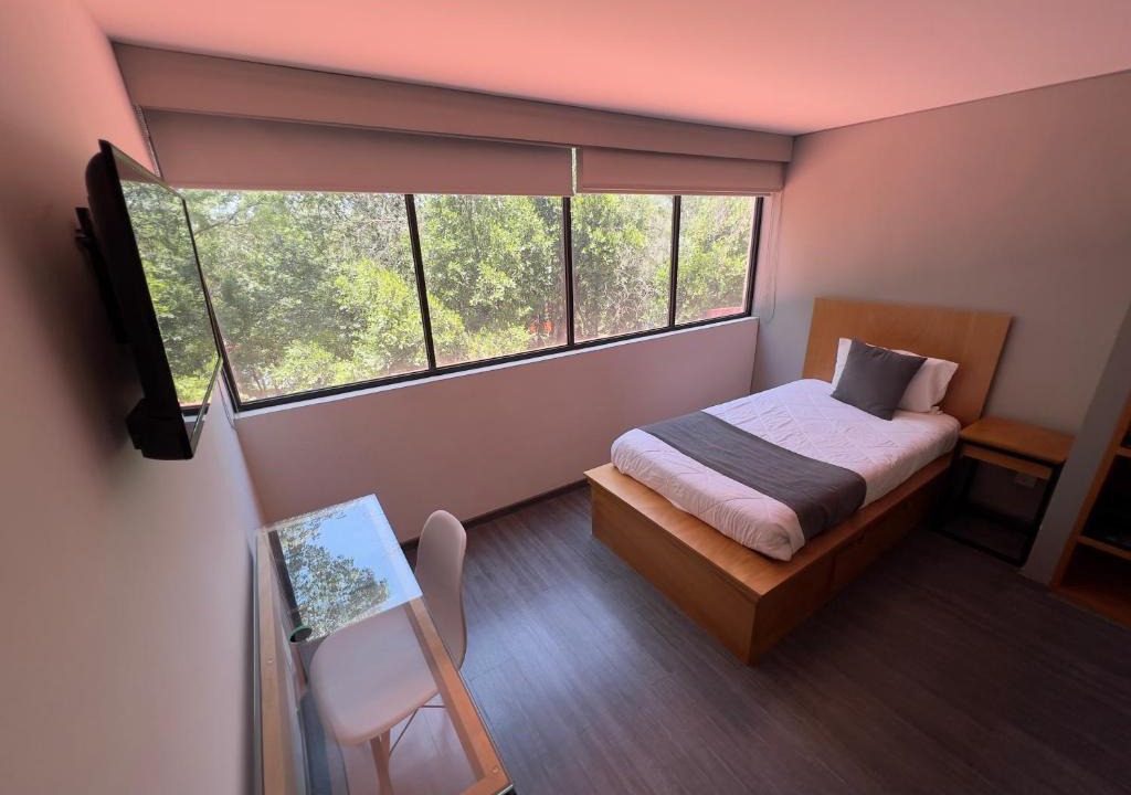 Alvaro Obregon House | Bonsai Las Aguilas
