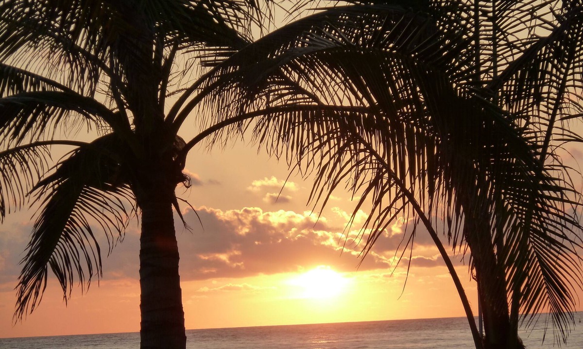 Ixtapa Condo | Bvg Marina Luxury Condo Ocean View - a Sight to Be Seen