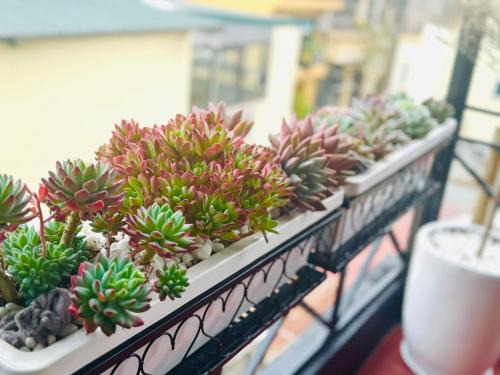 Hanoi Backpacker Quarter Apartment | Căn hộ 3 tầng 2 phòng ngủ