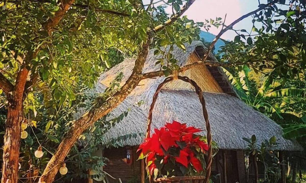 Tanchachin Hotel | Cabañas Mannan