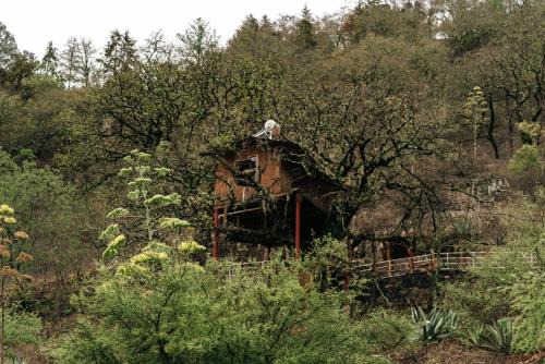 Zimapan Villa | Cabañas Xakali