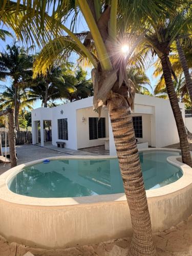 San Crisanto House | Casa De Los Peces