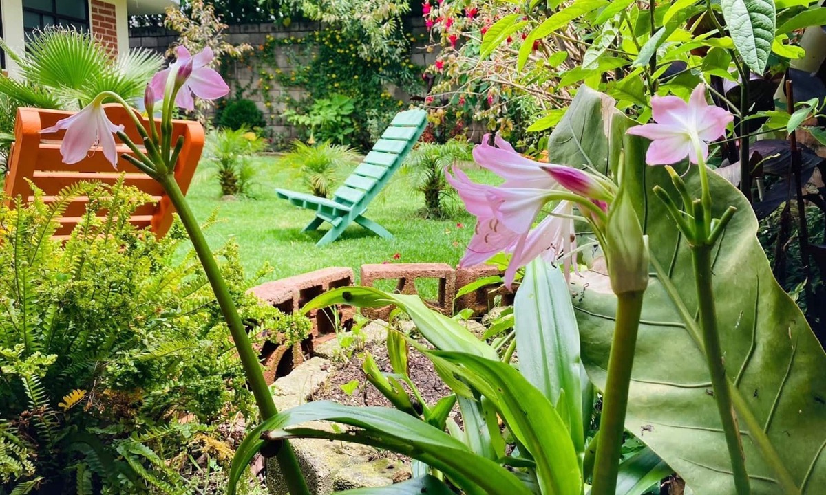 Santa Lucia Hotel | Casa Flor De Vida