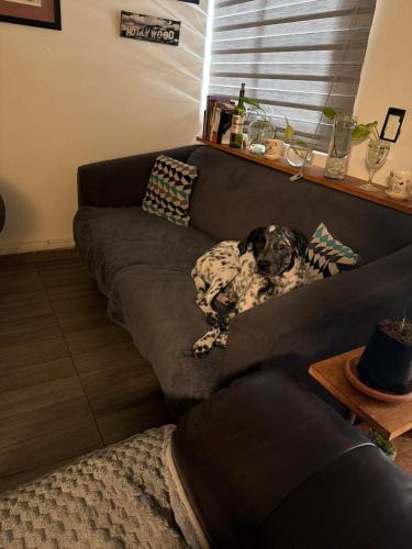 Historic Center Apartment | Casa Franco Elegant Stay in Center