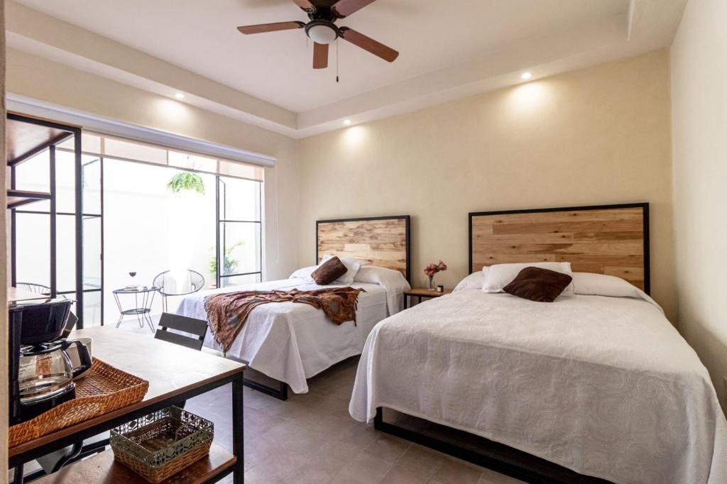 Leon Centro Apartment | Casa María Teresa Suites