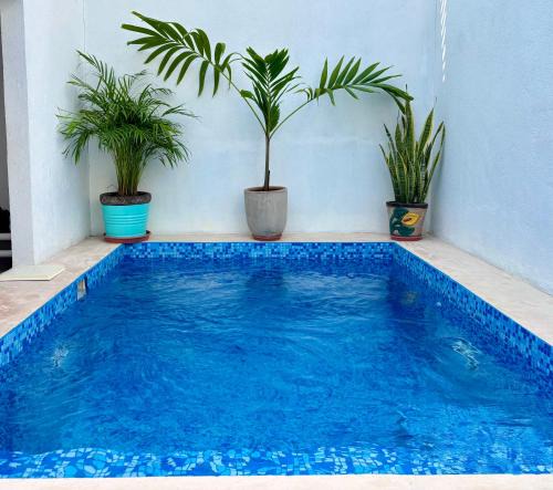 Ciudad Valles House | Casa Residencial con Alberca Privada & Gimnasio