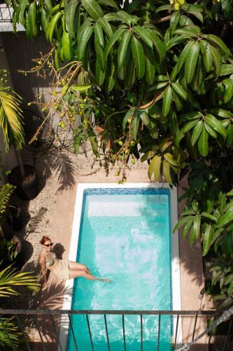 Los Tamarindos Apartment | Casa Sol Sombra