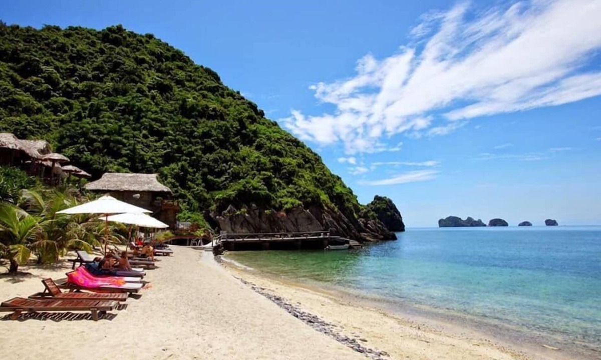 Cat Hai Hotel | Catba View Hotel