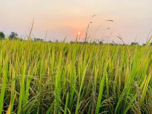 Cu Chi House | Cu Chi Boutique Farmstay