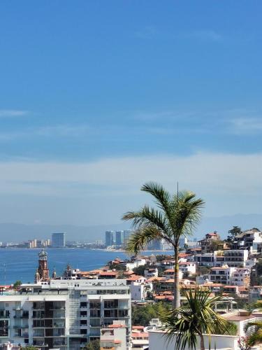 Alta Vista Apartment | De Mary DEPARTAMENTO A2