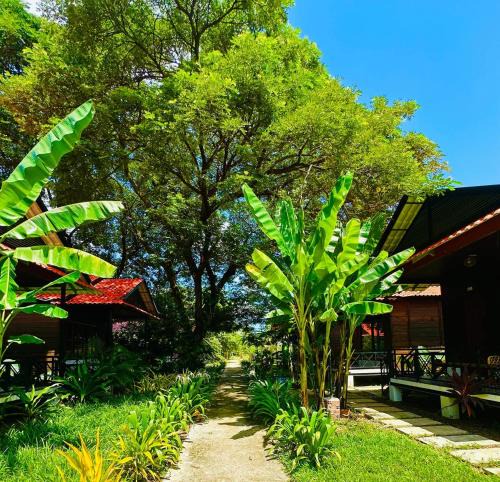 Sangkat Sla Kram Apartment | Densy Holiday Homestay