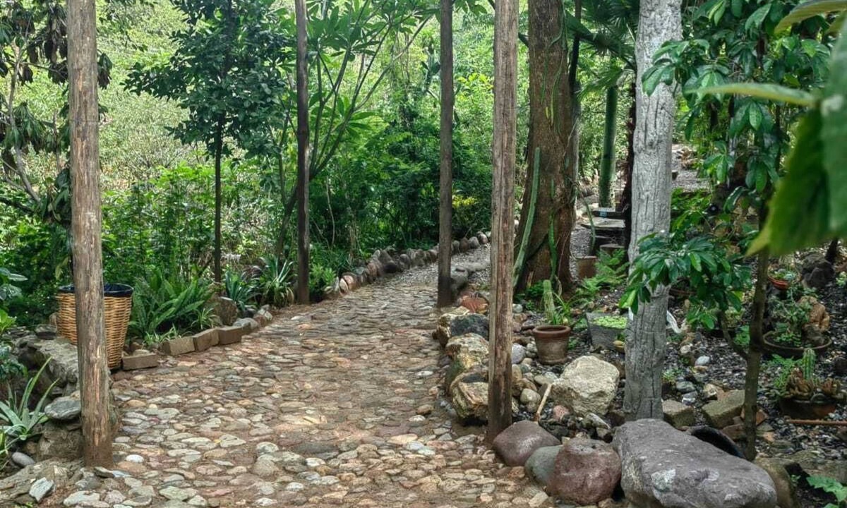 San Felipe del Agua Apartment | Departamento en medio de la naturaleza, ¡a solo 10 minutos del centro de Oaxaca!