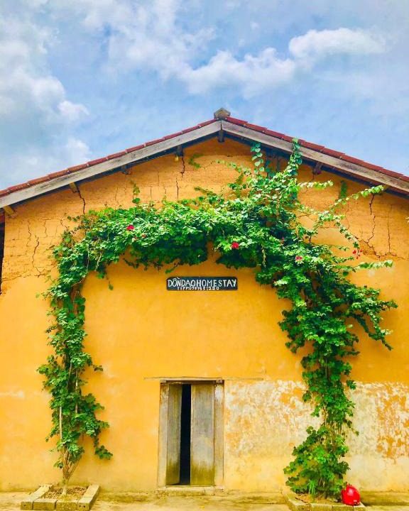 Quan Ba Hostel | DONDAO HOMESTAY I