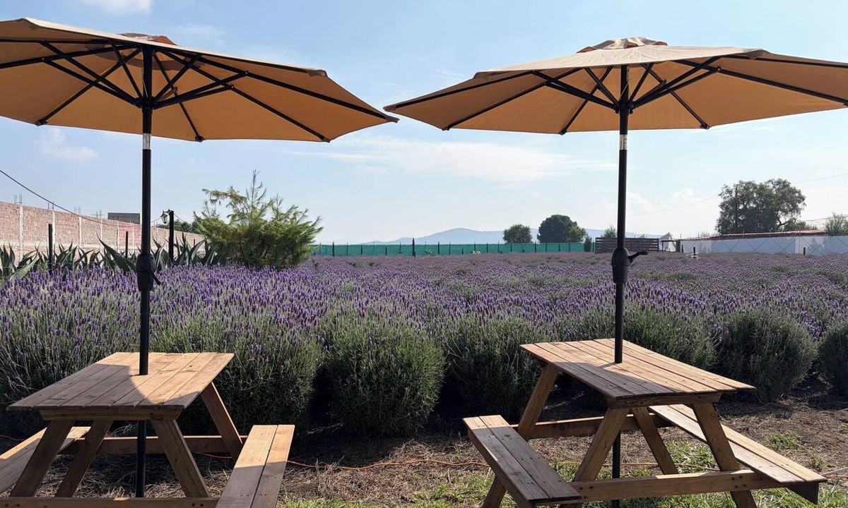 Texcoco de Mora RV Rental | Glamping Rincón de Lavanda