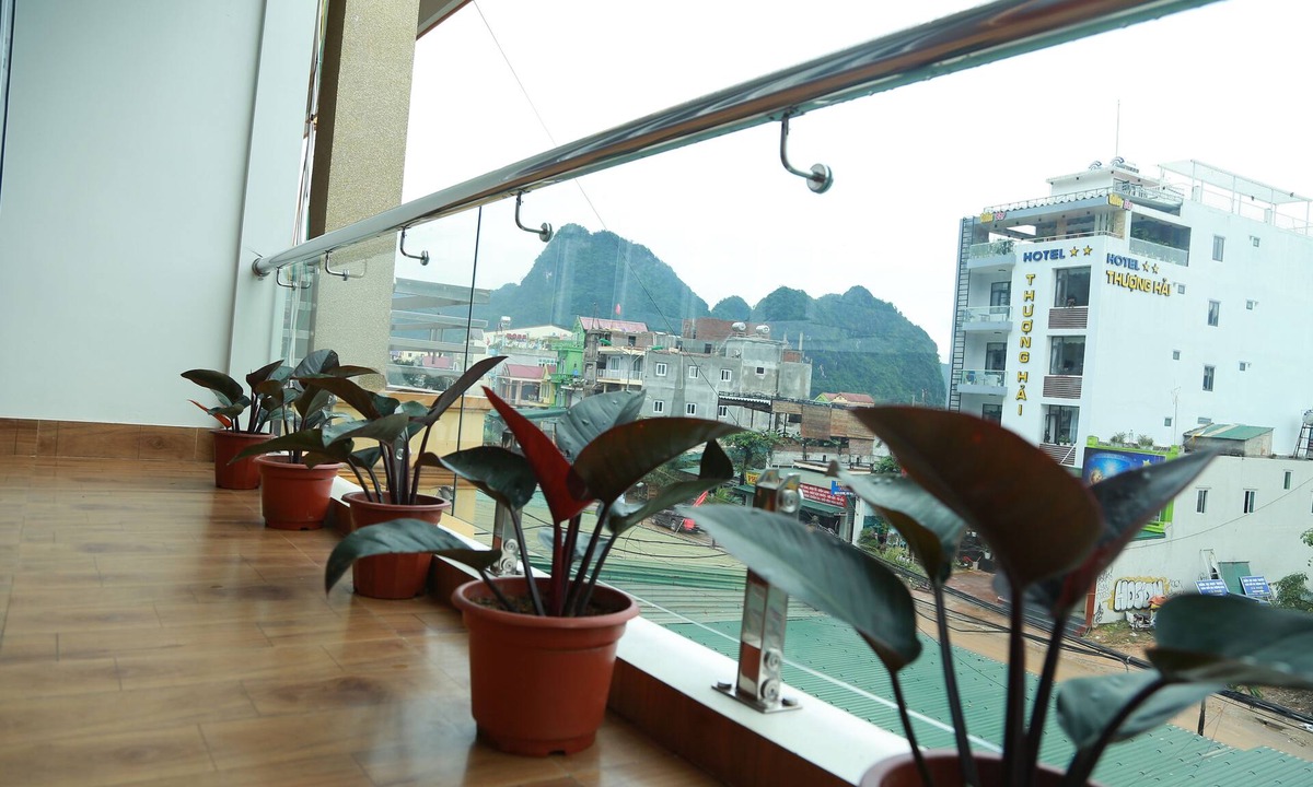 Phong Nha Hotel | Gold Plus Hotel