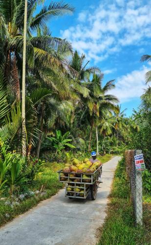 Giong Trom Cabin | Green Coconut Island