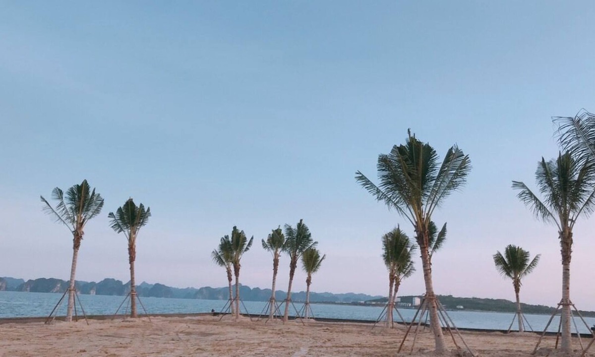 Ha Long Apartment | Halong And Me Hometel