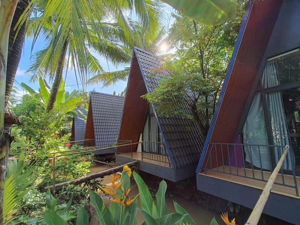 Mo Cay Bac House | Homestay Nam Hàm Luông