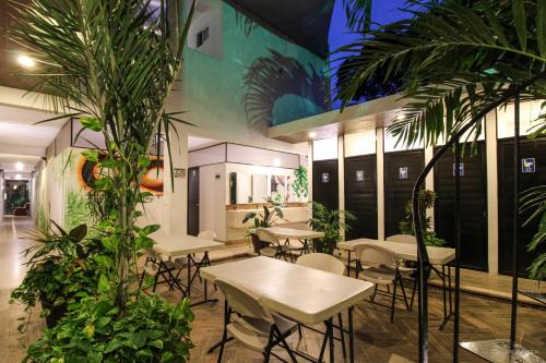 Valladolid House | Hostal Gayser