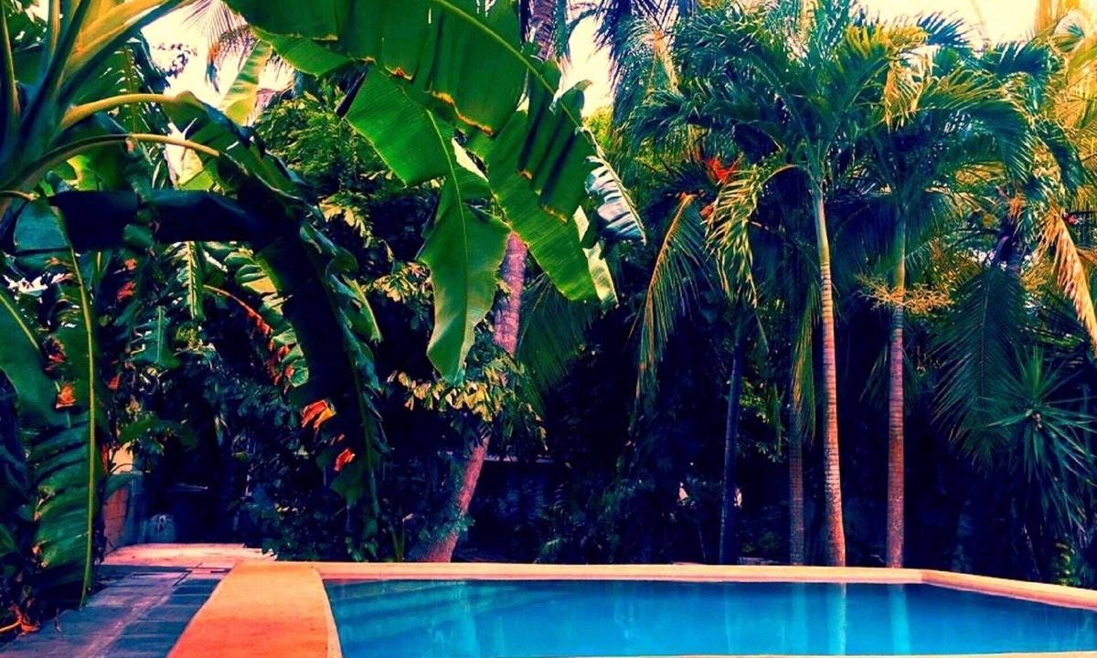 Tizimin Hostel | Hostal y Camping Villa Mercedes