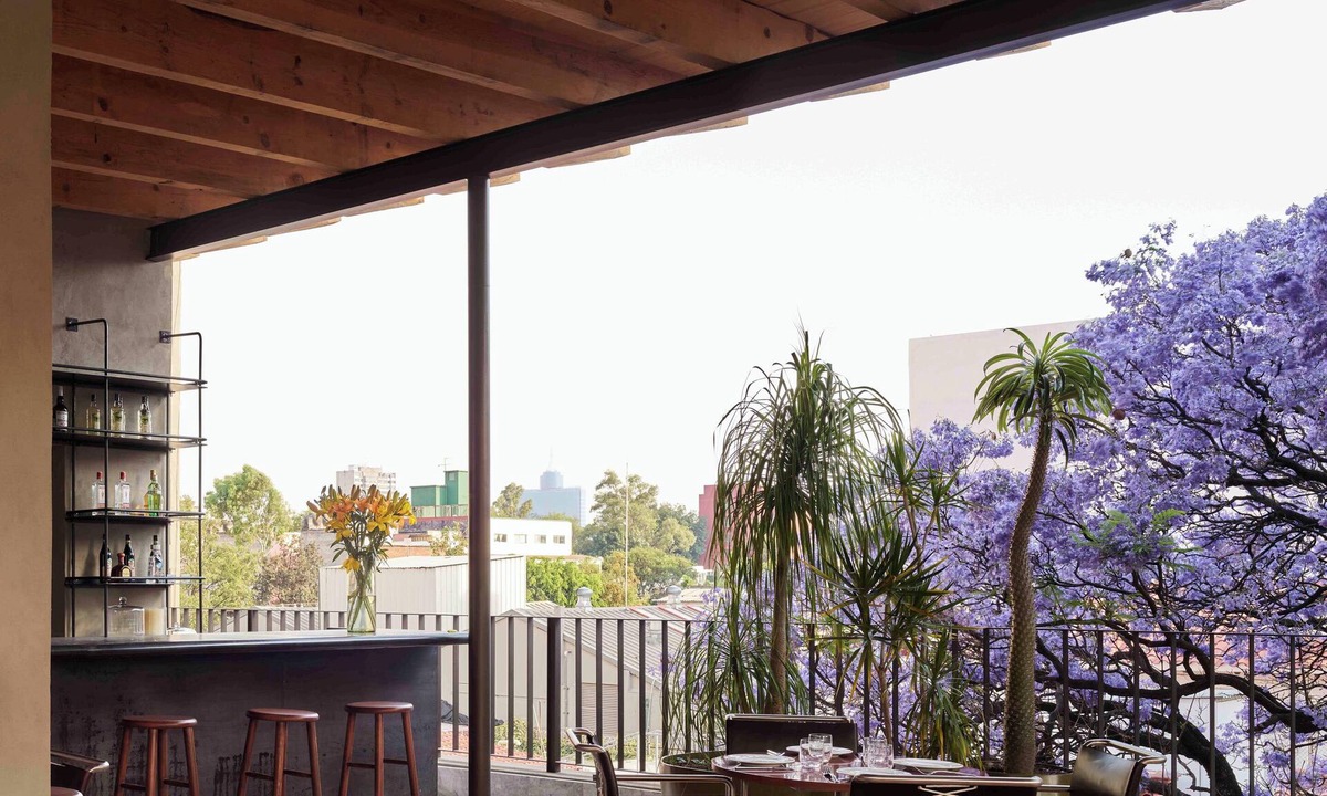 La Condesa Hotel | Hotel Dama