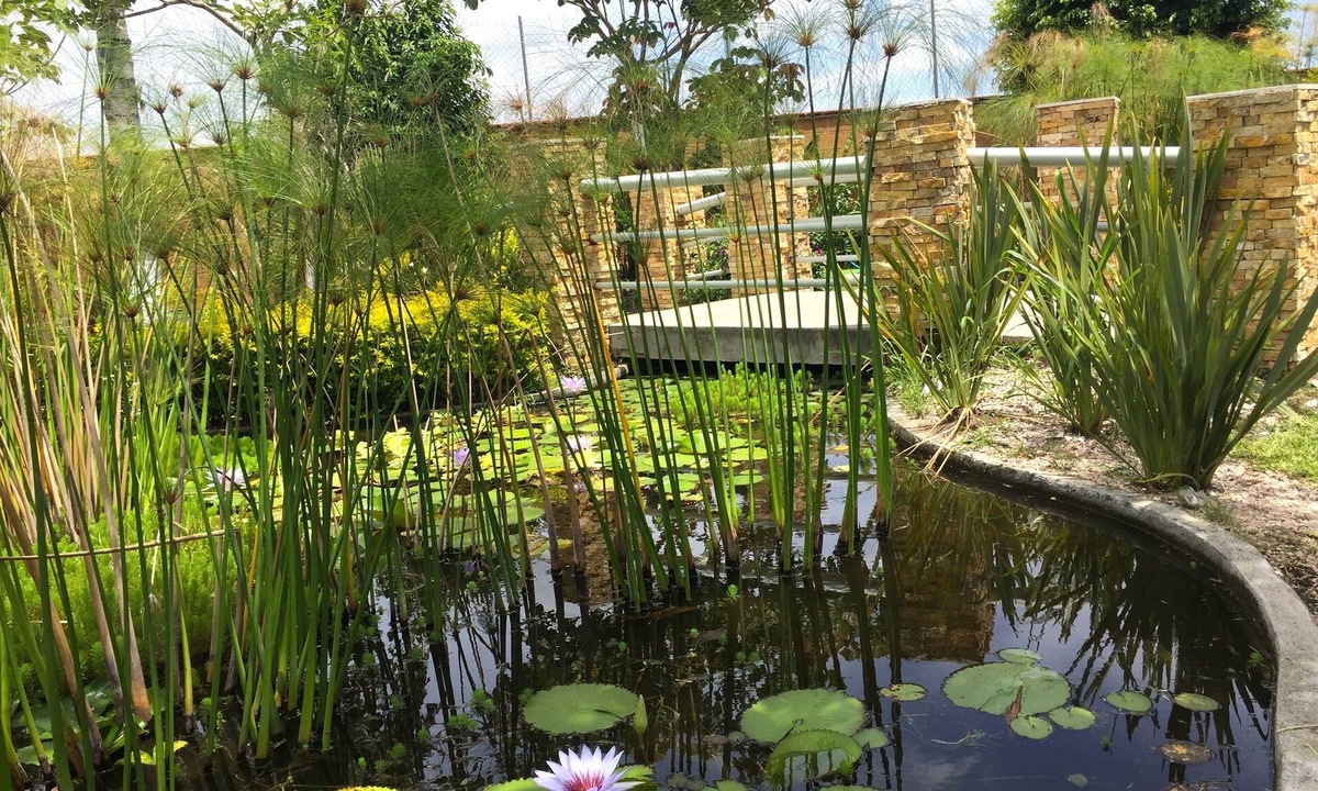 Yautepec Hotel | Hotel JS