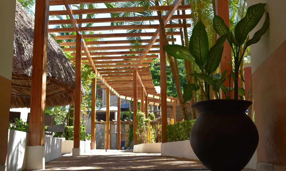 Palenque Hotel | Hotel Maya Tulipanes Palenque