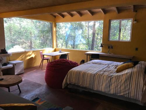 Tepoztlan House | La Cabaña Azul al fondo del Bosque de Tepoztlán