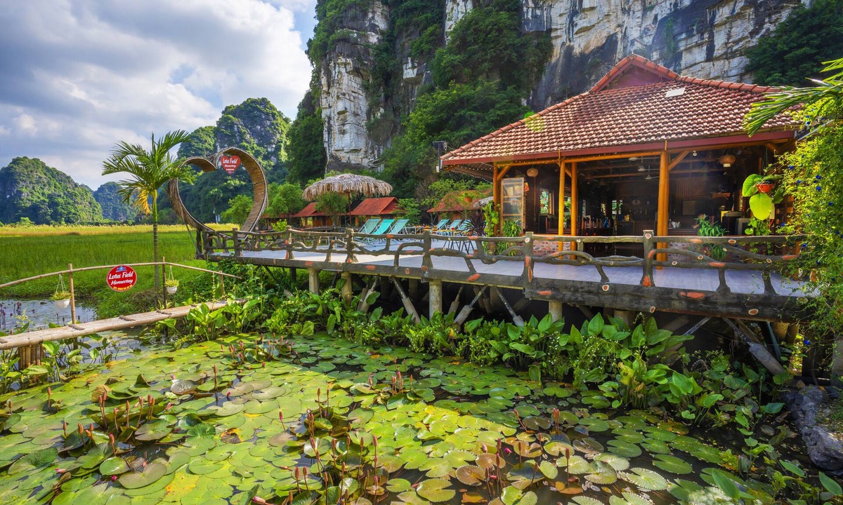 Hoa Lu Hotel | Lotus Field Homestay