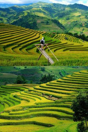 Mu Cang Chai Hotel | Mùa Vàng Homestay Mù Cang Chải