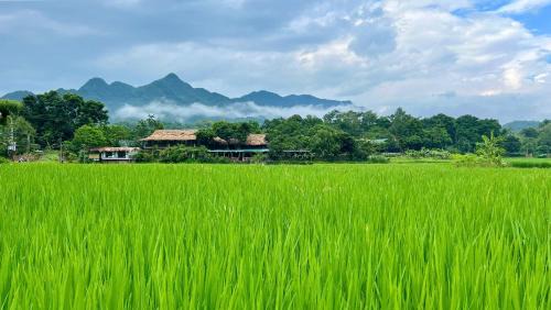 Mai Chau Resort | Mai Chau Sky Resort