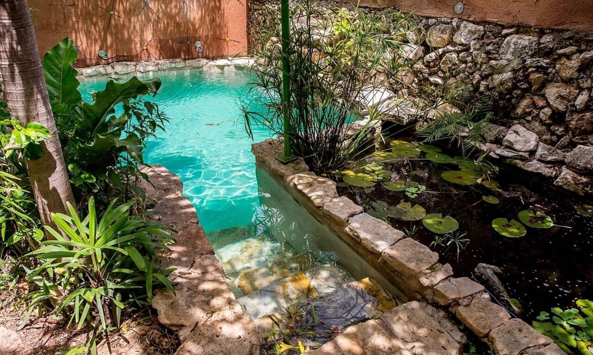 Barrio de Santiago House | Majikal BnB House of the Xolos