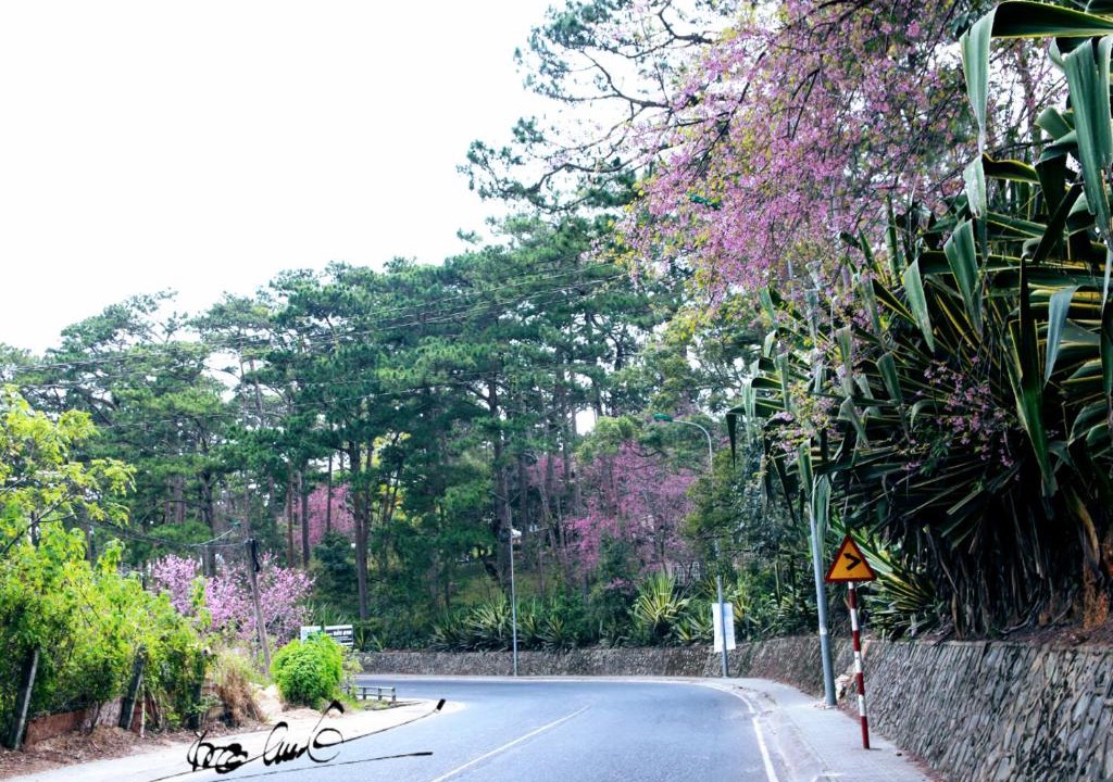 Da Lat Apartment | Minh Khôi' Homestay