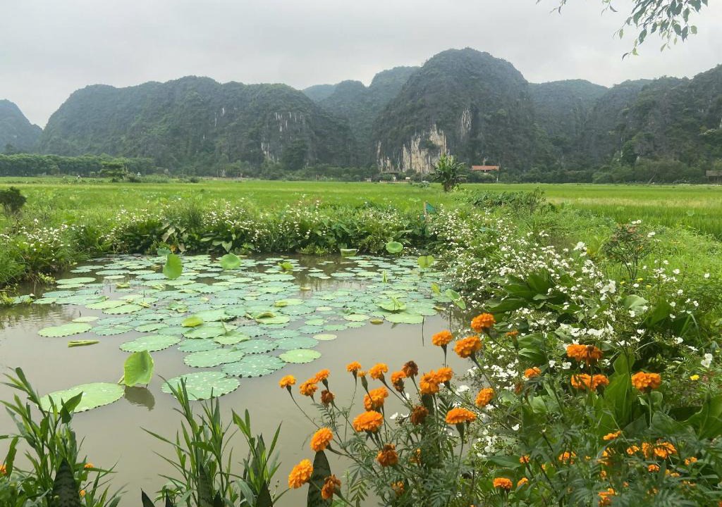 Hoa Lu House | Mountain view Homestay