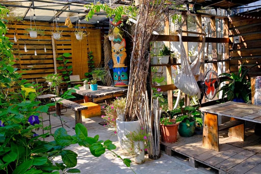 Tuy Hoa House | NĂM ẤY HOMESTAY