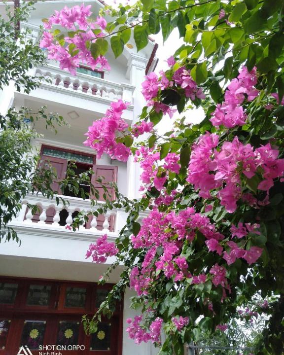 Hoa Lu House | Nhà nghỉ Bolero