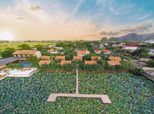 Hoa Lu Hotel | Ninh Binh Royal Homestay