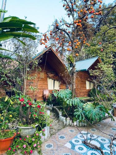 Bac Ha House | Nobita Homestay bắc hà