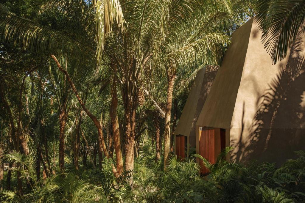 Lo de Marcos Resort | One&Only Mandarina