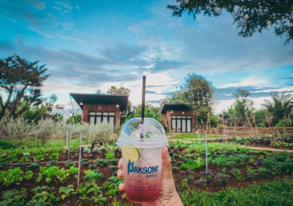Pleiku House | Paksong Farmstay Gia Lai